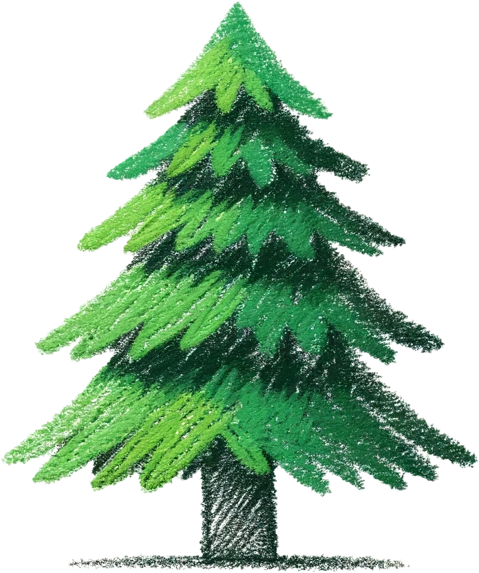 크리스마스 트리